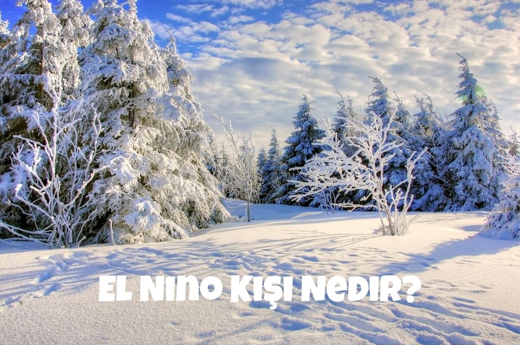 El-Nino-Kisi-Nedir-2024.jpg